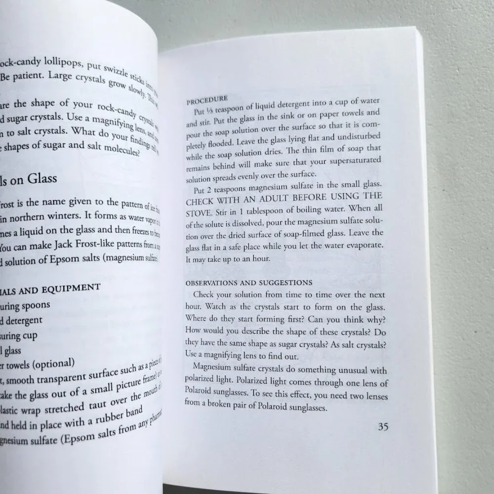 Chemically Active! Experiments You Can Do at Home Science Book Paperback by Vick